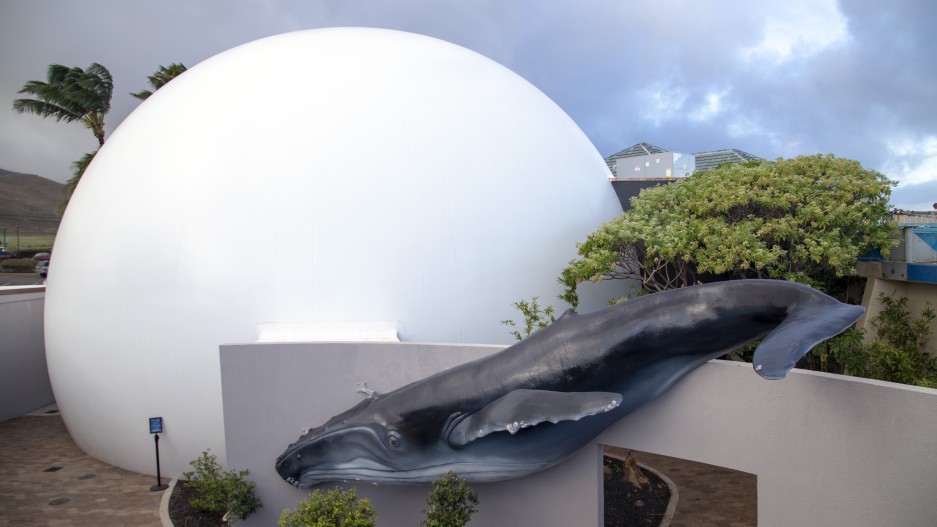 Maui Ocean Center